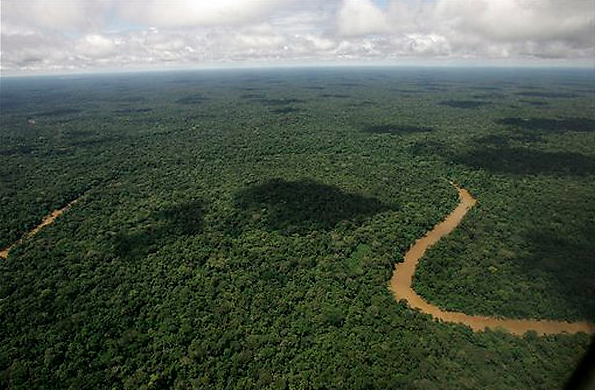 Selva amazónica en Ecuador